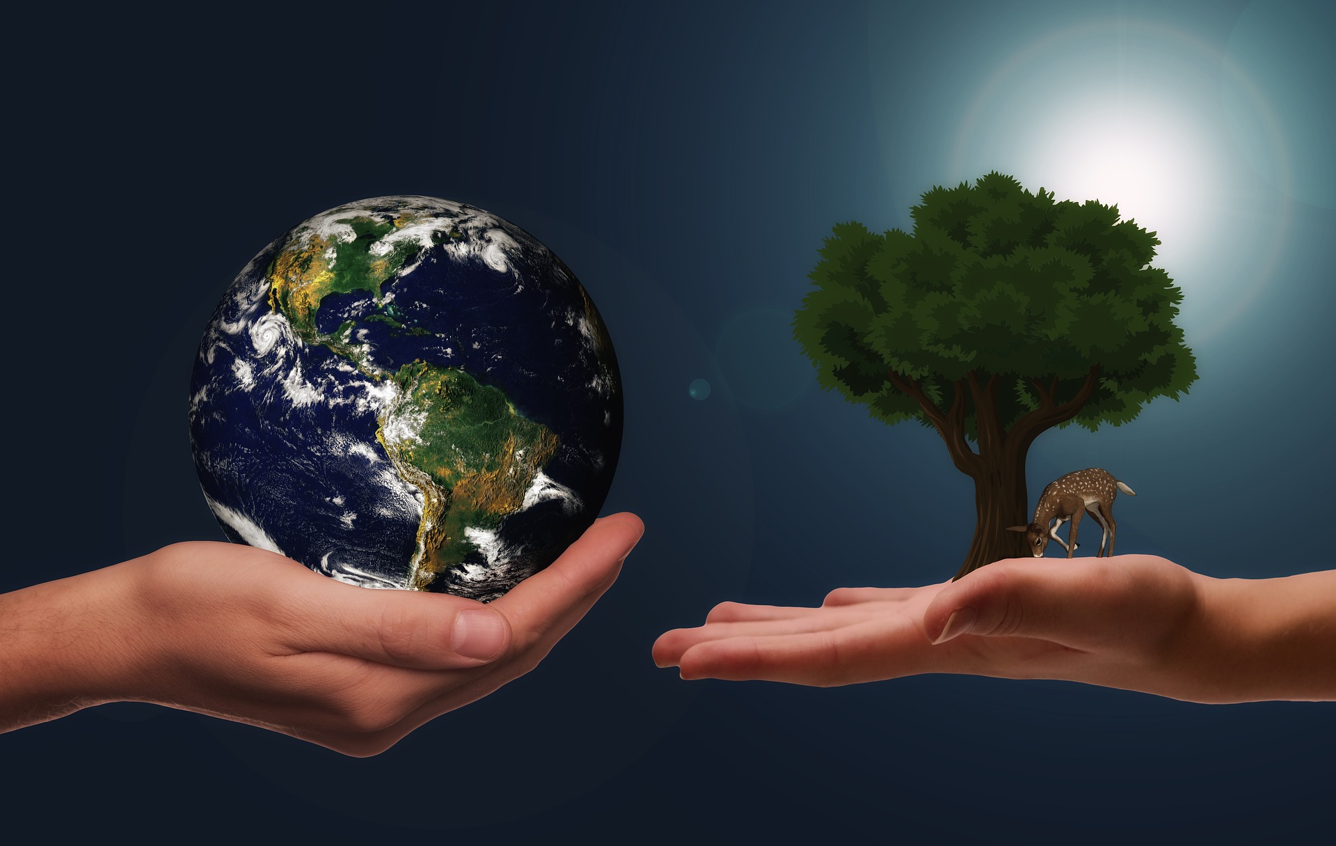 Sustainability communication