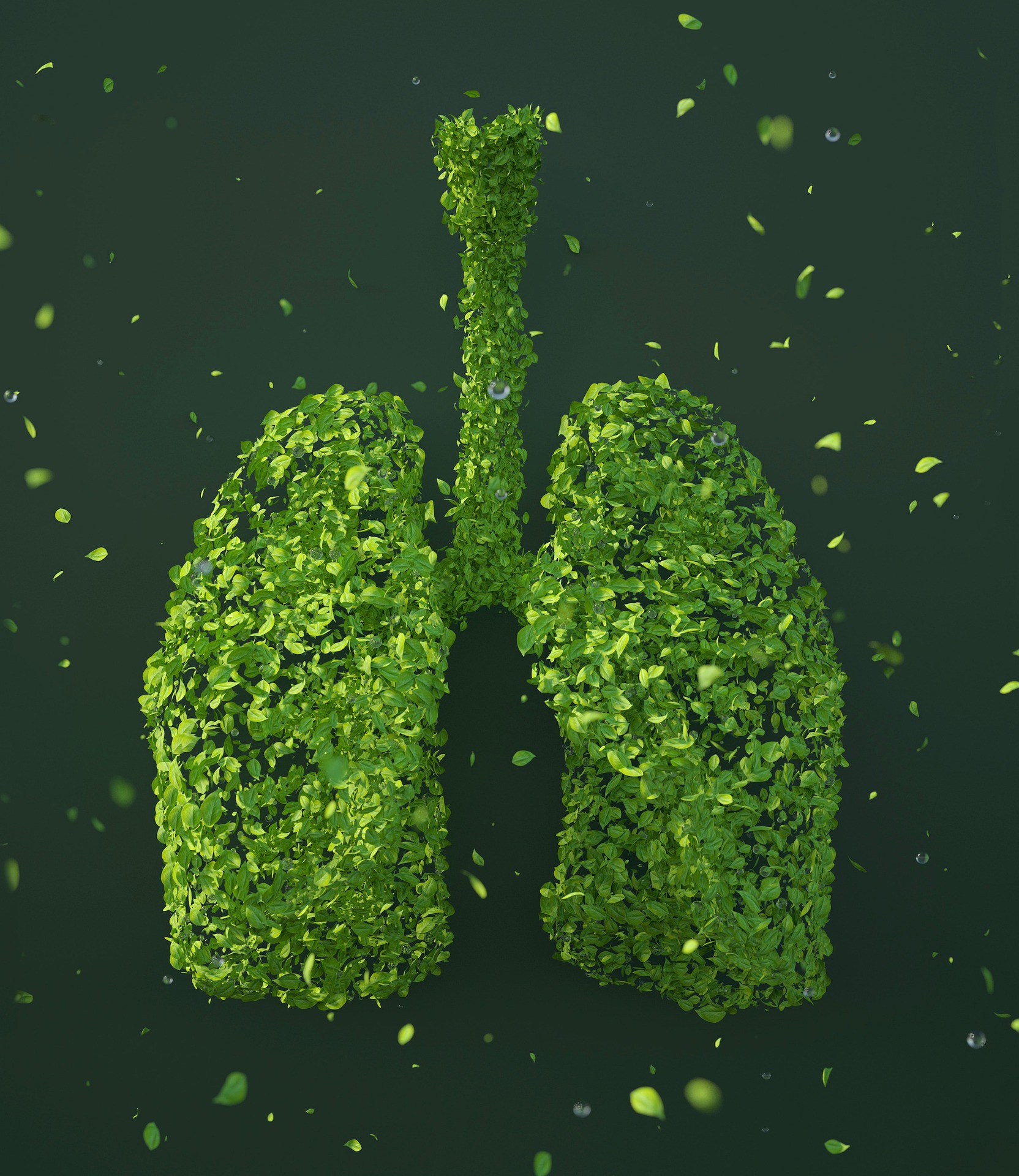 Sustainability x-ray